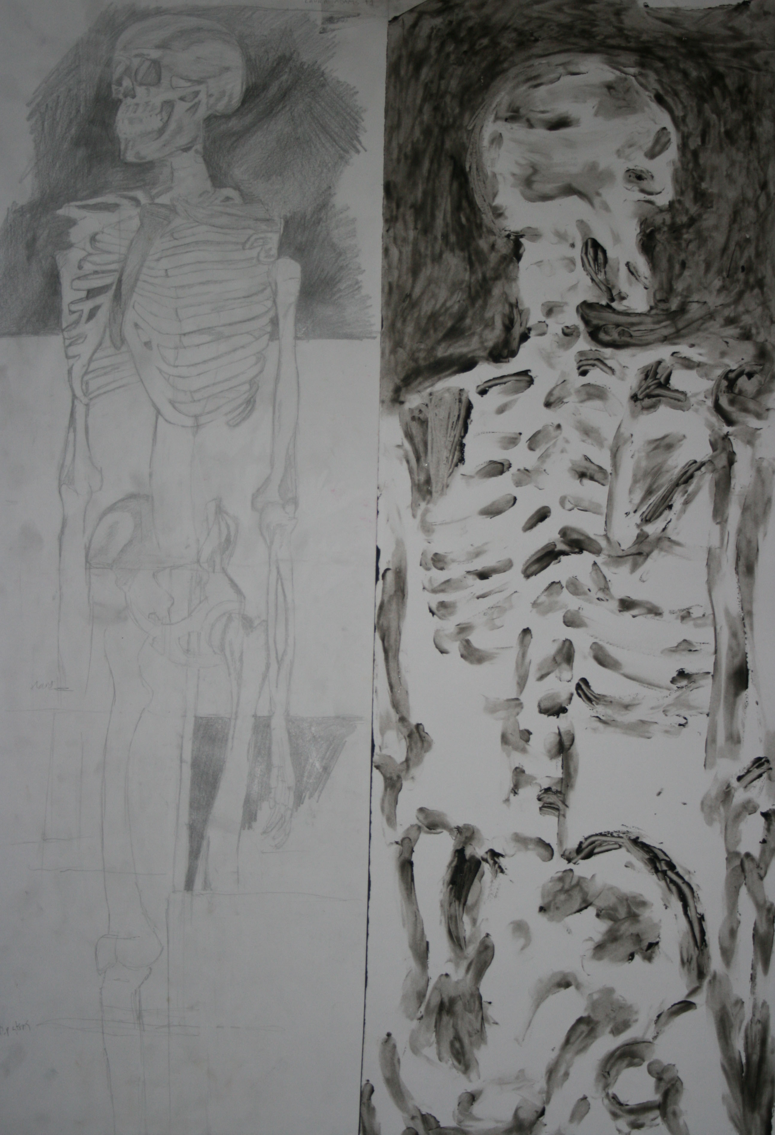 Skeleton Studies 2