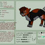 Sanguis reference sheet