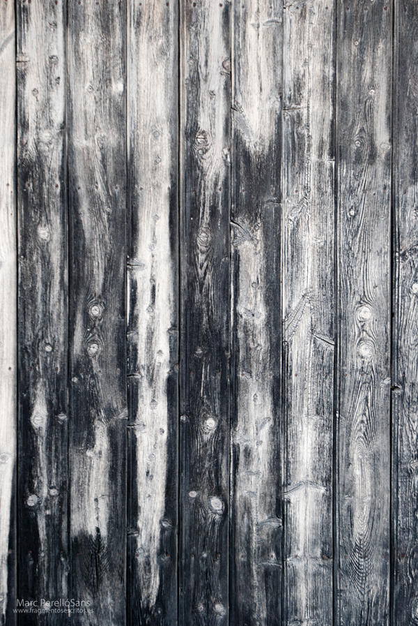 Wood Texture