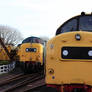 55022 and 37175 at Bo'ness Gala