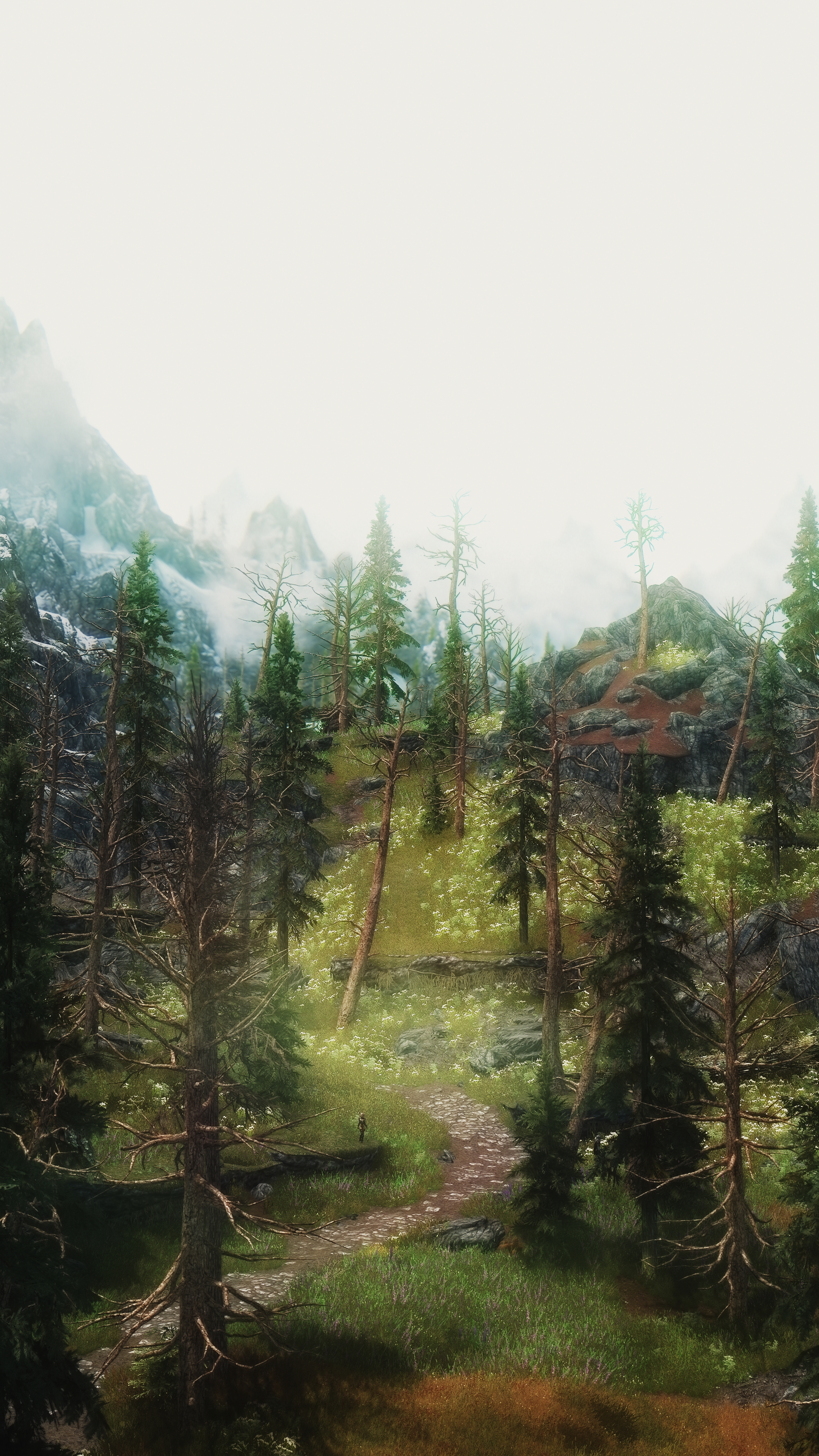 Skyrim - The road to Riverwood.