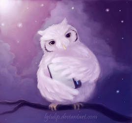 My little owl)