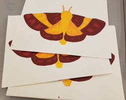 Rosy Maple Moth Prints