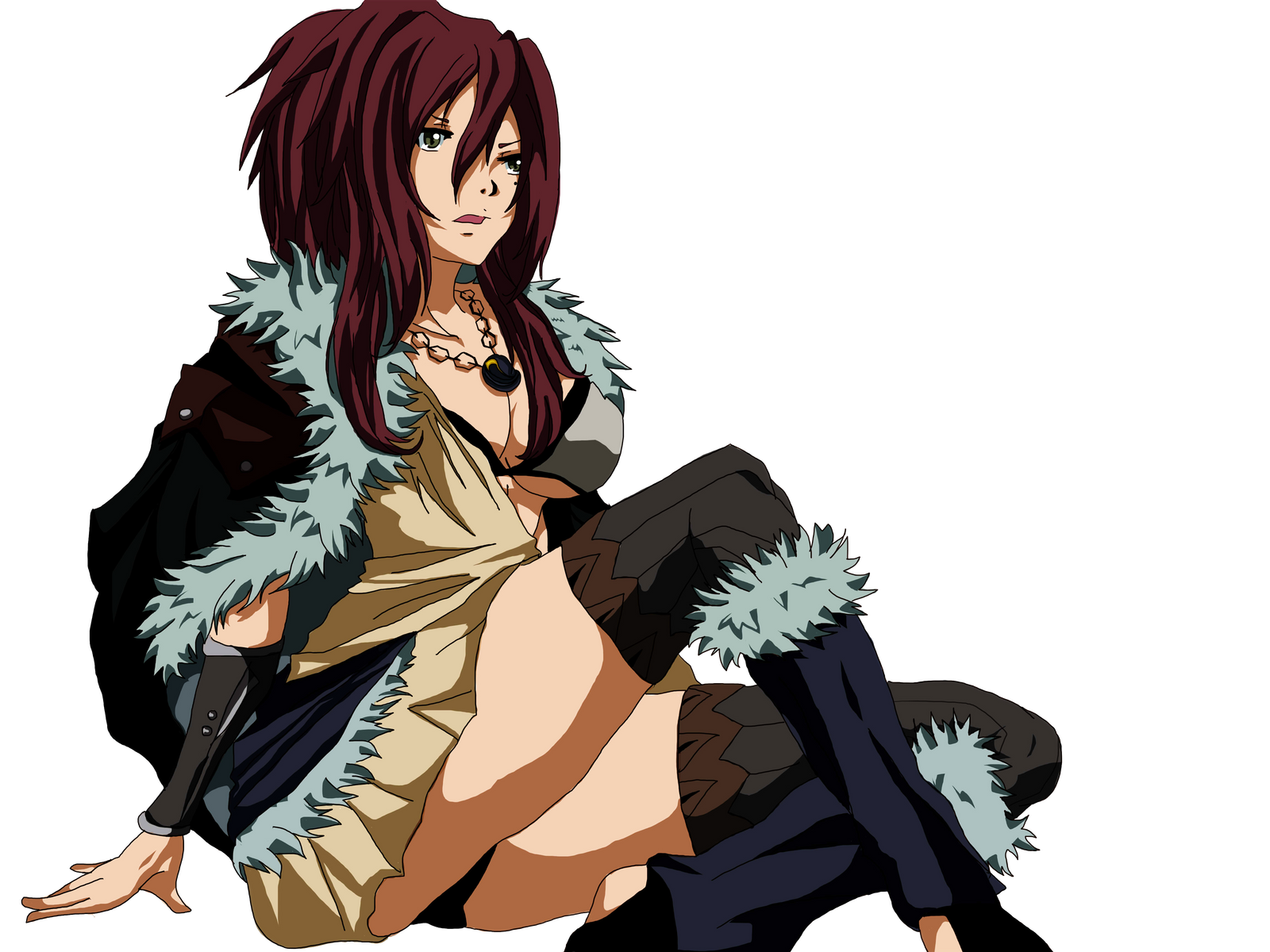 Fairy tail best sale guild masters