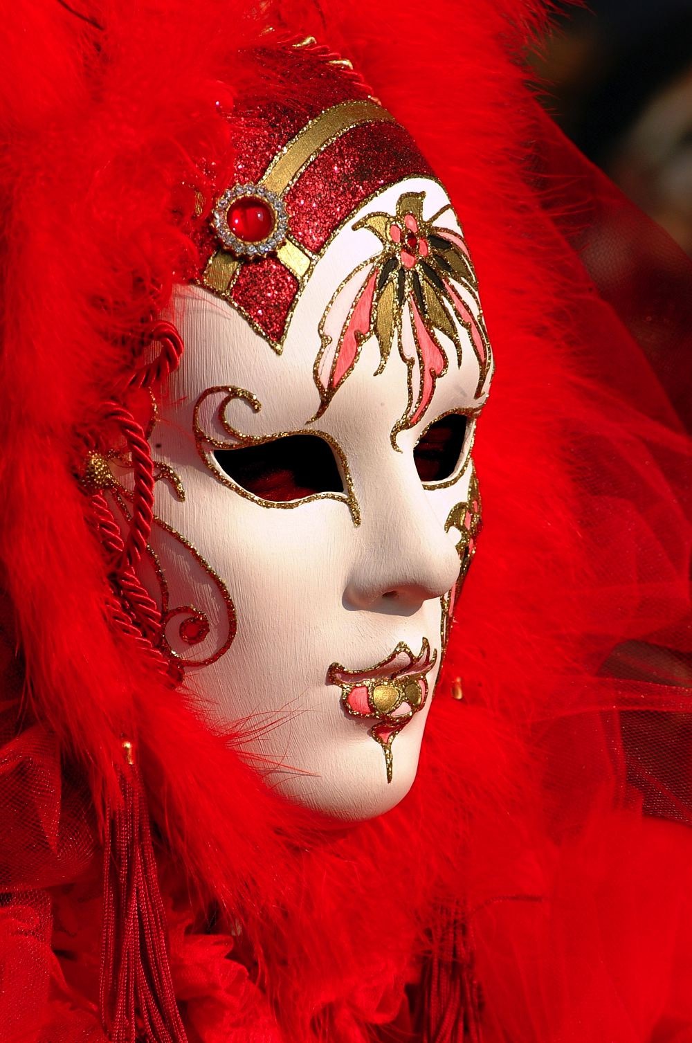 Carnival mask