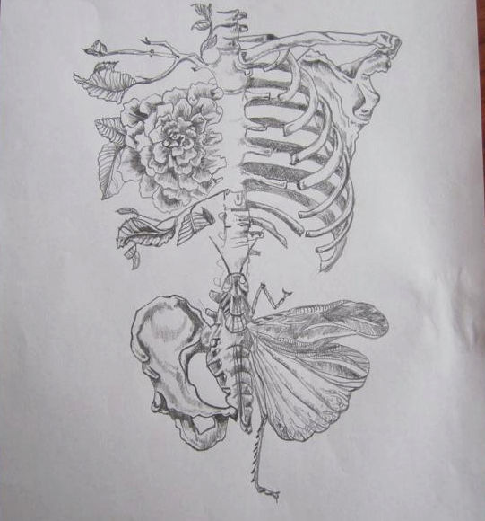 Pretty Skeleton by wck13 on DeviantArt