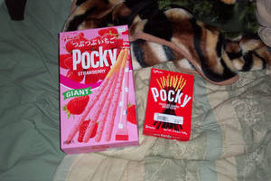 pocky