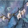 spring butterflies