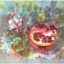 Pomegranate and geranium