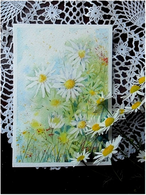 wild daisies