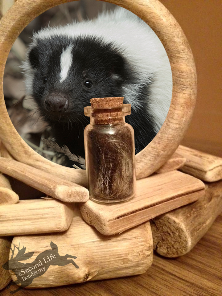 Skunk fur-bottle FOR SALE *Ethically sourced*