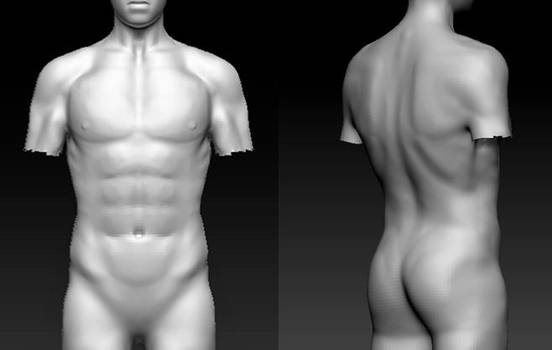 Zbrush Human Torso