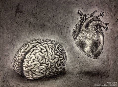 Self Portrait, minus the nonsense (brain + heart)