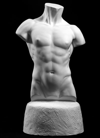 torso front