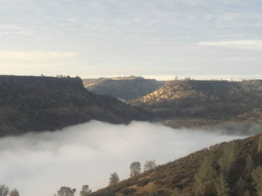 Morning Fog