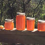 Apricot Jam 2017