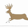 Running Deer Animation -Completed-   KutkuMegsan