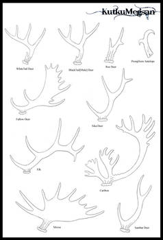 North American Antlers Basic Tutorial -KutkuMegsan