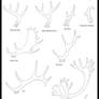 North American Antlers Basic Tutorial -KutkuMegsan