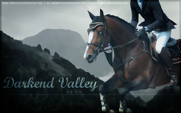 Darkend Valley [Horse Picture]