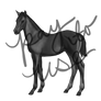 Thoroughbred Foal Grayscale Lineart