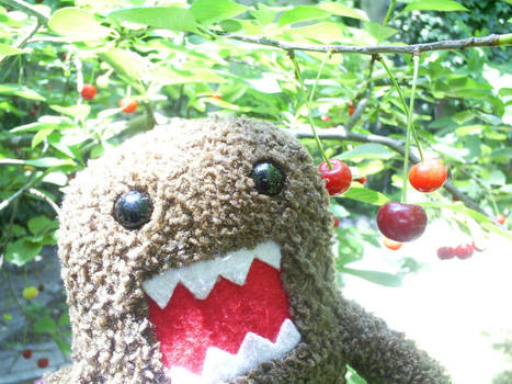 Domo-kun