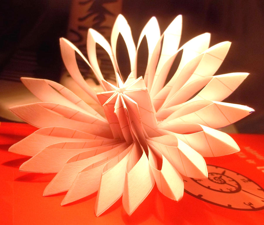 Paper flower