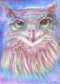 Vivid Owl