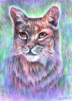 Whimsical Bobcat