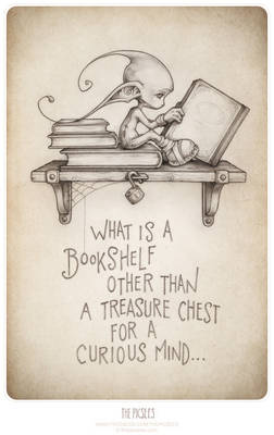 What is a bookshelf...