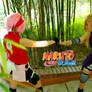 Sakura and Ino: Our Rivalry