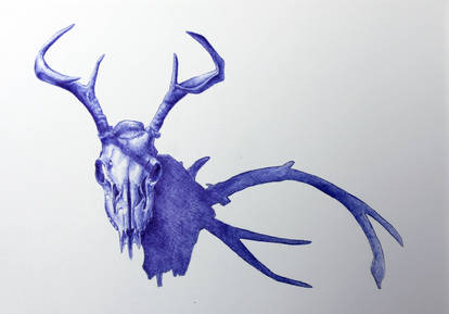 Tell this story of the deer's skull