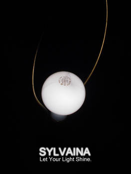 Sylvaina Display Ad