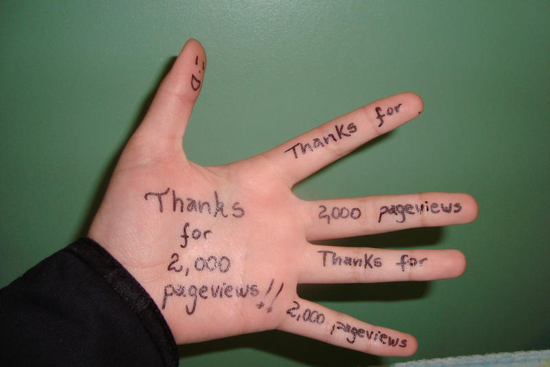 Thanks for 2000 pageviews