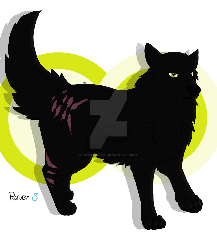 Raven (2024) - shaded by GryphonsArt on DeviantArt