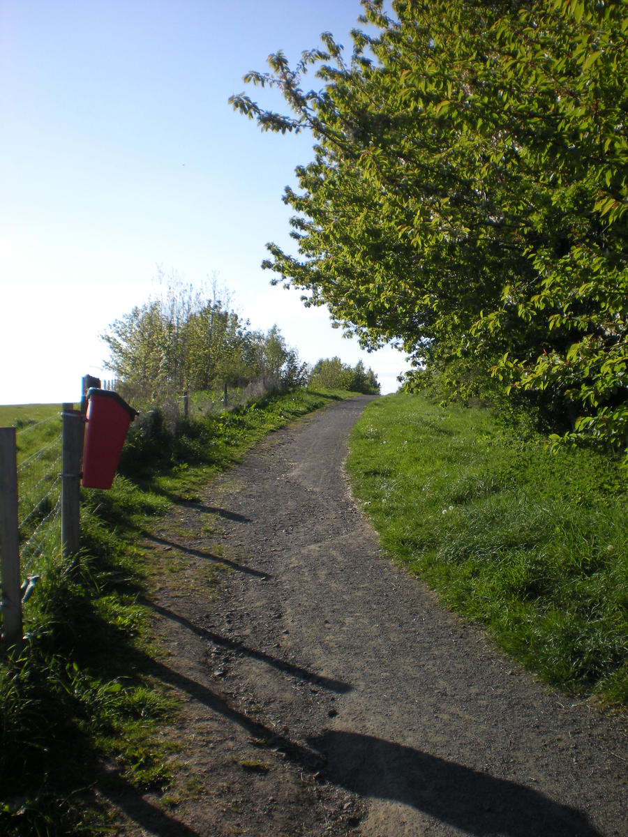 Path 1