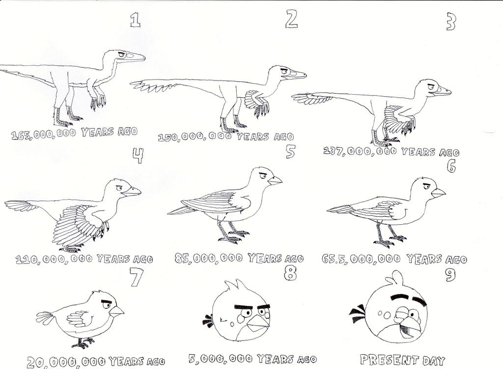 Bird Evolution Deviantart Evolution from dinosaur to angry bird by Angrydinobirds on DeviantArt