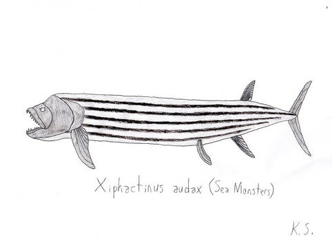 Xiphactinus audax
