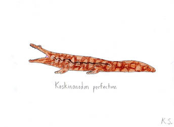 Koskinonodon perfectum