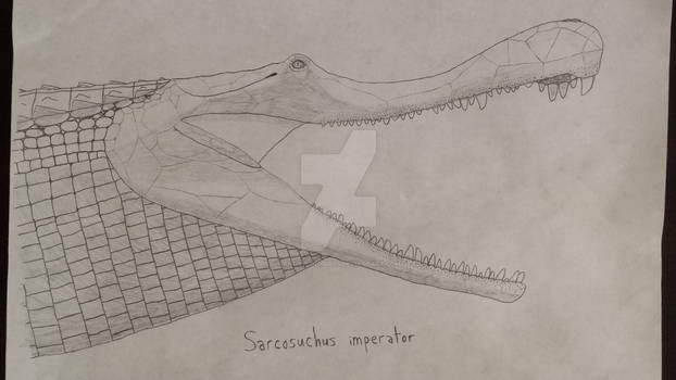 Sarcosuchus imperator Head portrait