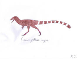 Compsognathus By Venofoot On Deviantart Compsognathus By Venofoot On Deviantart