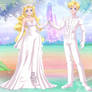 Sailor Senshi Celebration: Sailor Wedding!