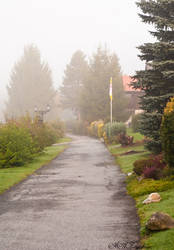 Path Into The Mist