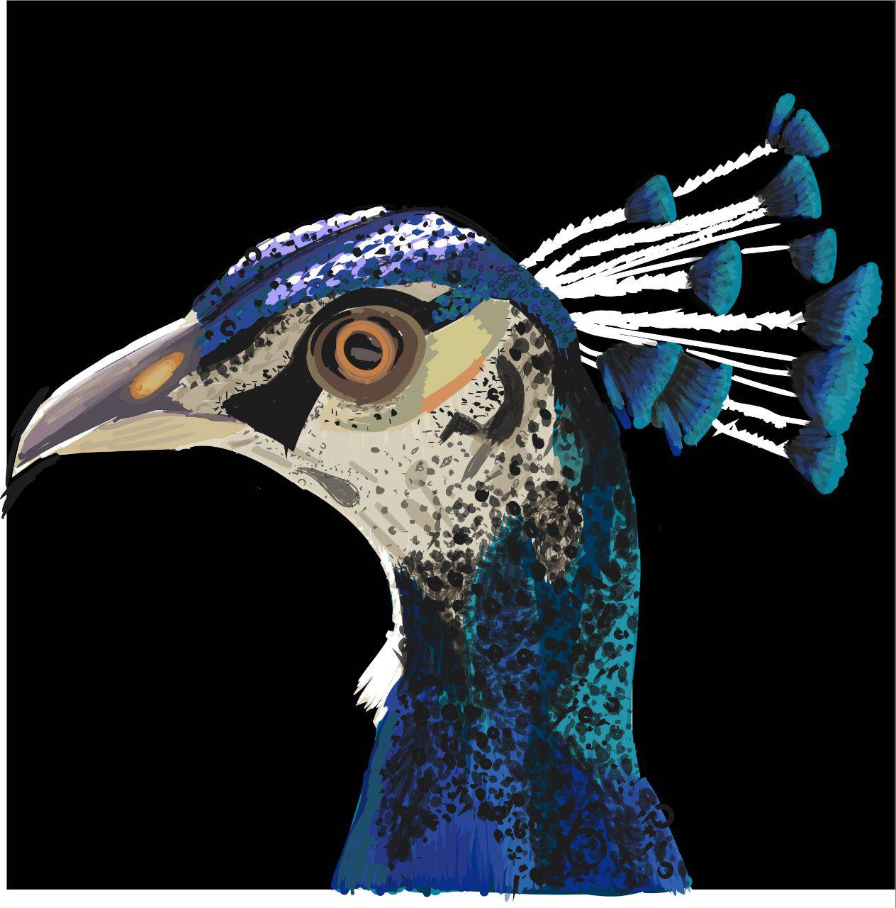 Pavo real by sunflower083 on DeviantArt