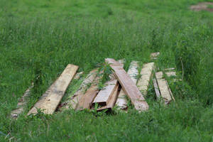 Wooden Planks in Grass