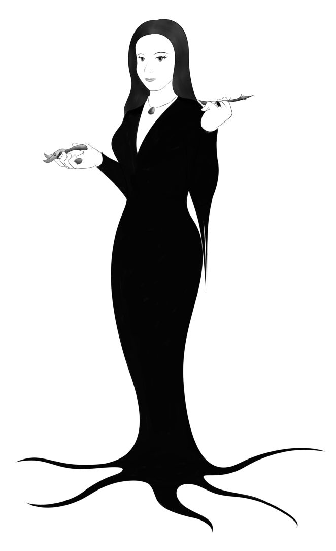 Download Lux Brush Drawing: Morticia Addams by Alixnight on DeviantArt