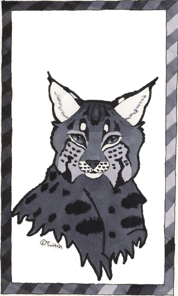 Bobcat by nimuregryph on DeviantArt
