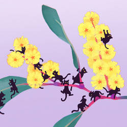 Mini kitty explores wattle