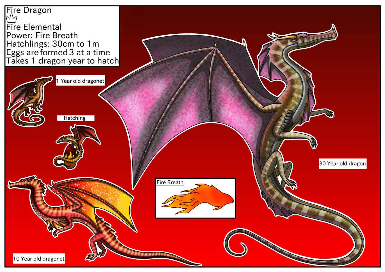Fire dragon by ImagentiveDragon on DeviantArt