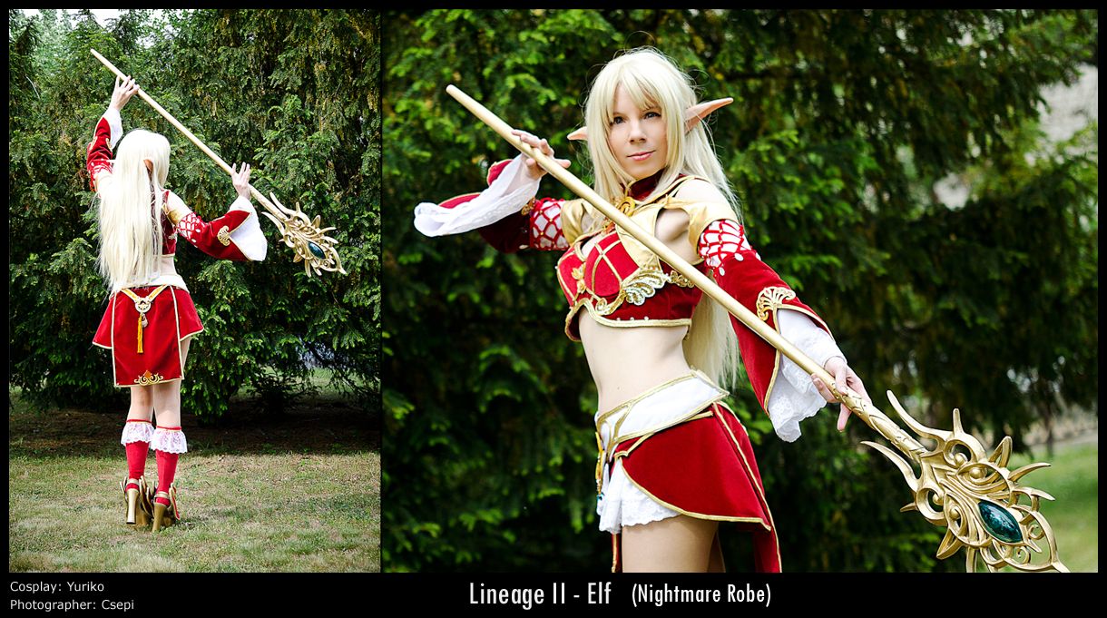 Lineage II - Elf